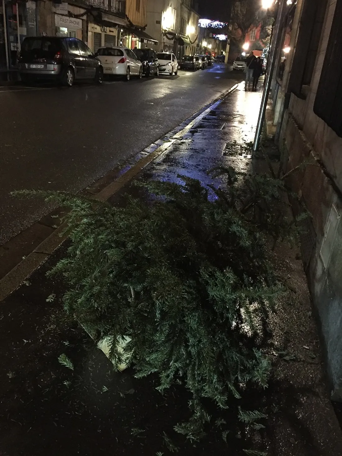 La collecte des sapins débute ce lundi soir dans la métropole dijonnaise 